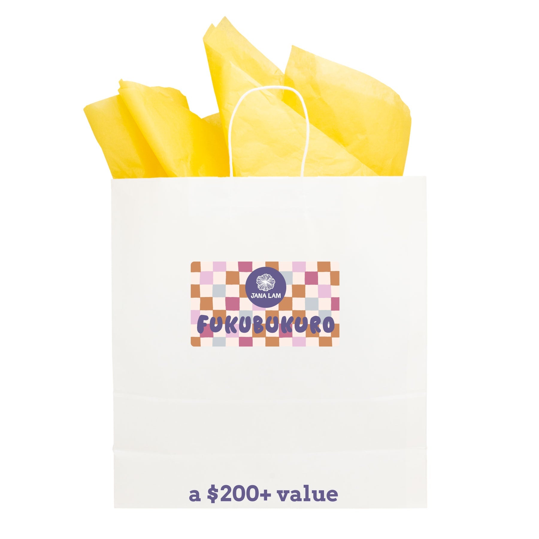 Fukubukuro • $200+ Lucky Bag - Jana Lam Hawaii