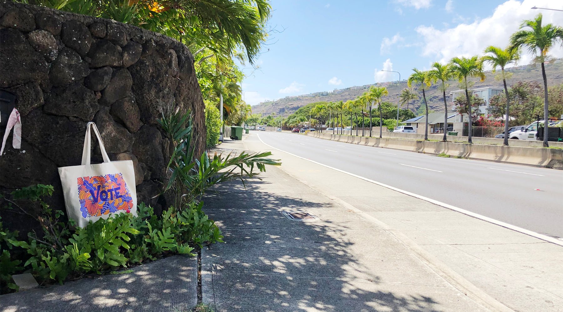 THE VOTE TOTE - Jana Lam Hawaii