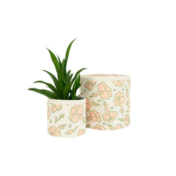 Fabric Sax Plant • Puakenikeni • Olive & Blush