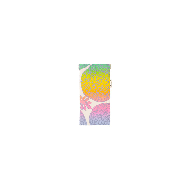 Sunglass Case • Ulu • Metallic Gray over Rainbow Ombre